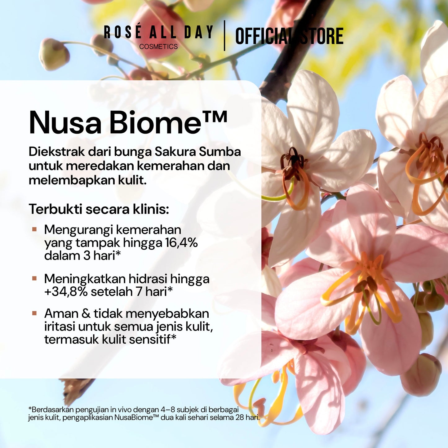 [NEW LAUNCH] Rose All Day The Realest Airyfit Concealer